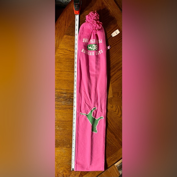 VS PINK ~ “East Division 80 Phi Beta Pink” Scarf {HTF} - Picture 12 of 14